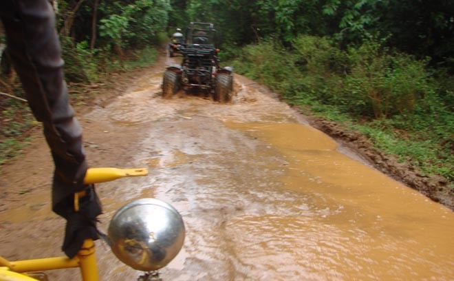 Driving the rain forests © BW Media